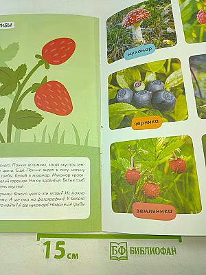 Базовый курс В ЛЕСУ Школа семи гномов