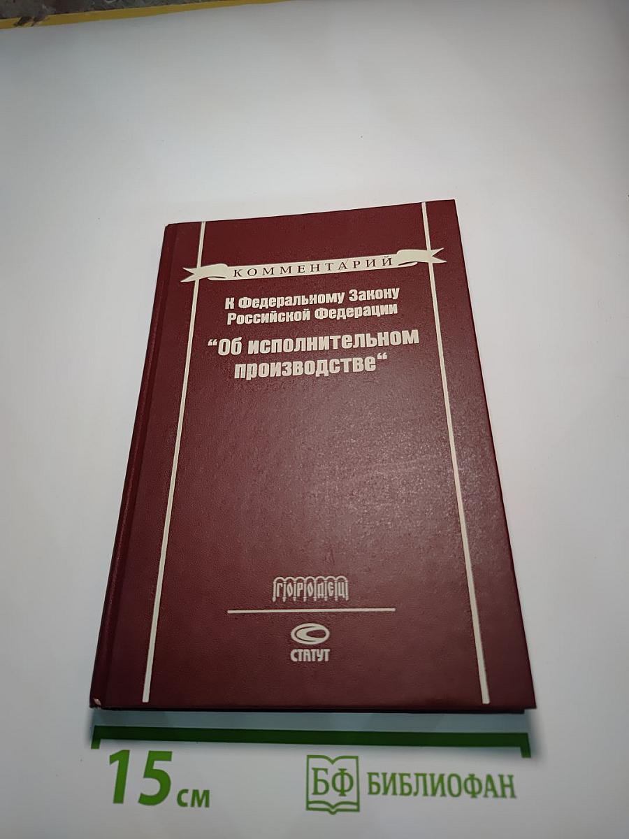 Комментарий к Федеральному Закону Российской Федерации "Об исполнительном производстве"