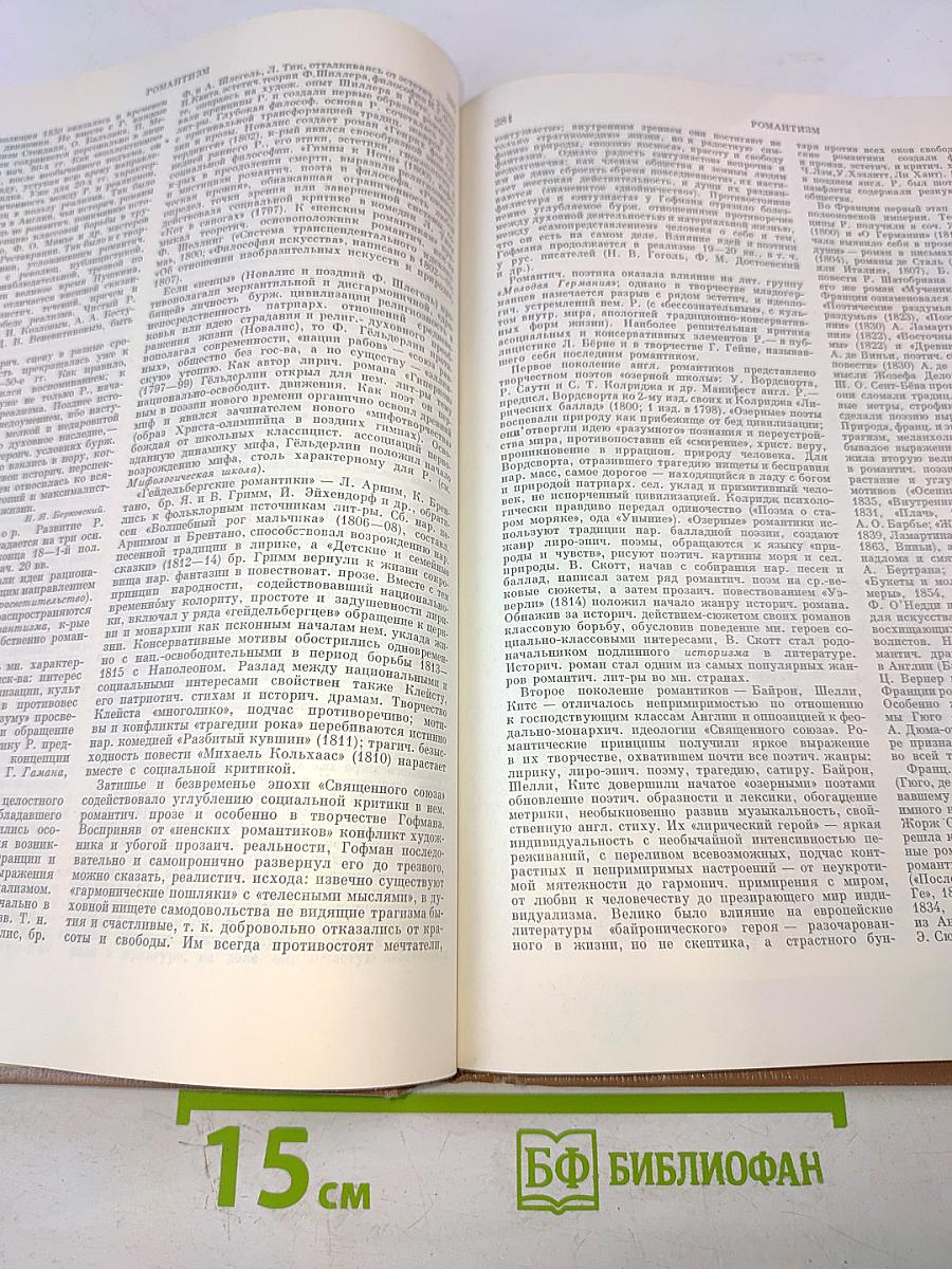 Краткая литературная энциклопедия. Том 6