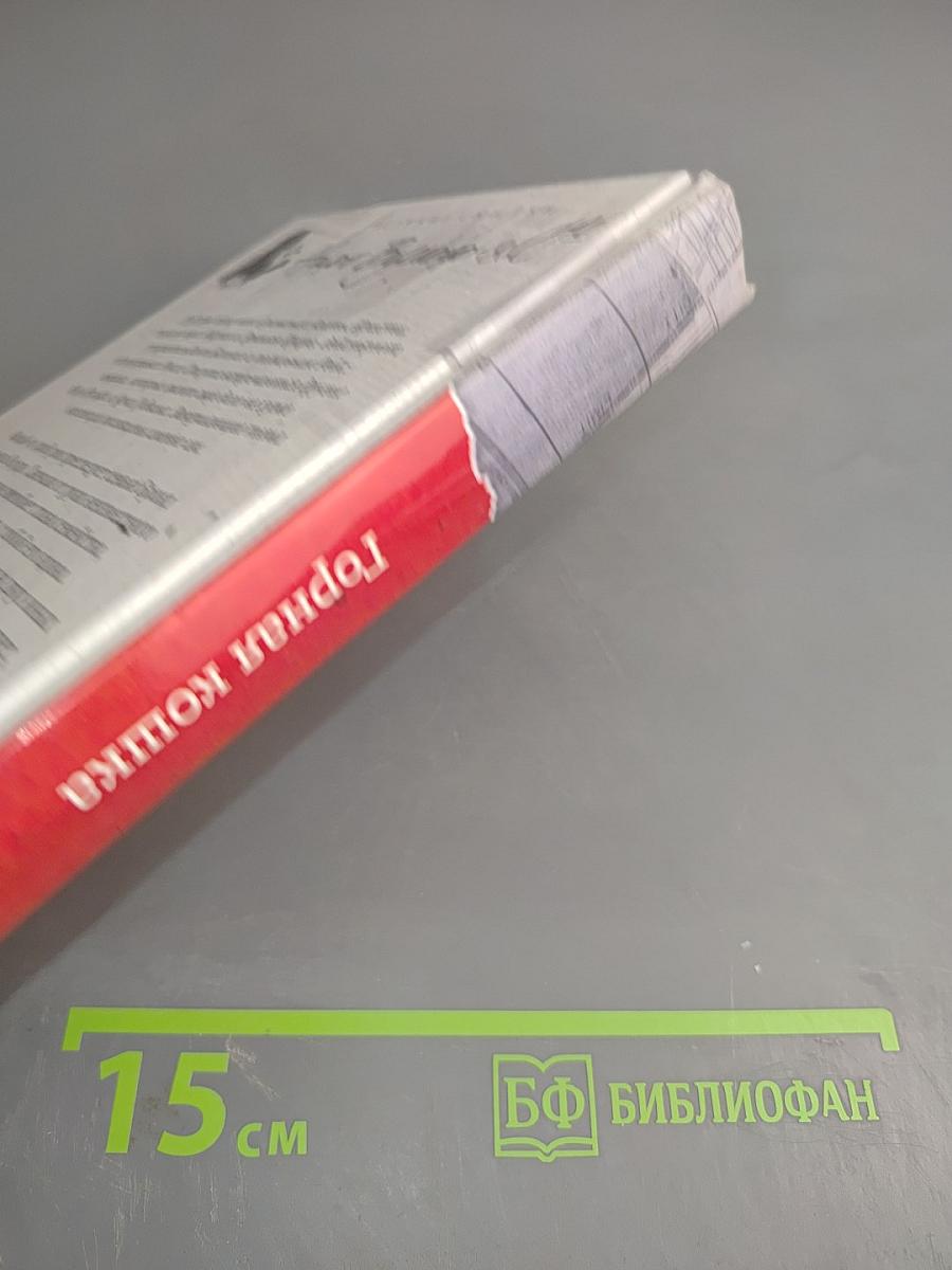 Горная кошка