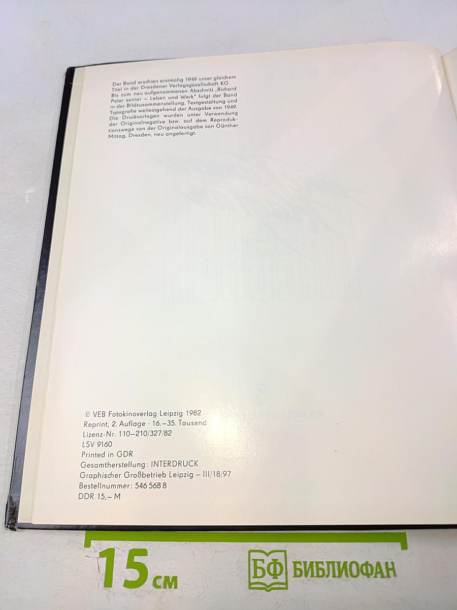 Dresden - Eine Kamera klagt an