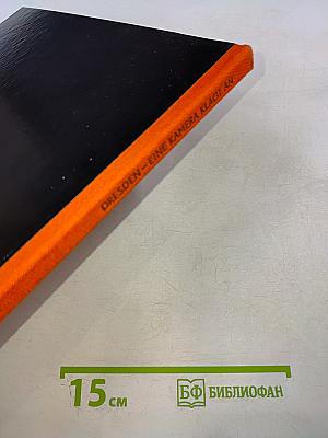 Dresden - Eine Kamera klagt an