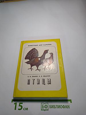 Птицы