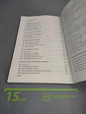 Сказочные головоломки, или Проделки коварного джинна