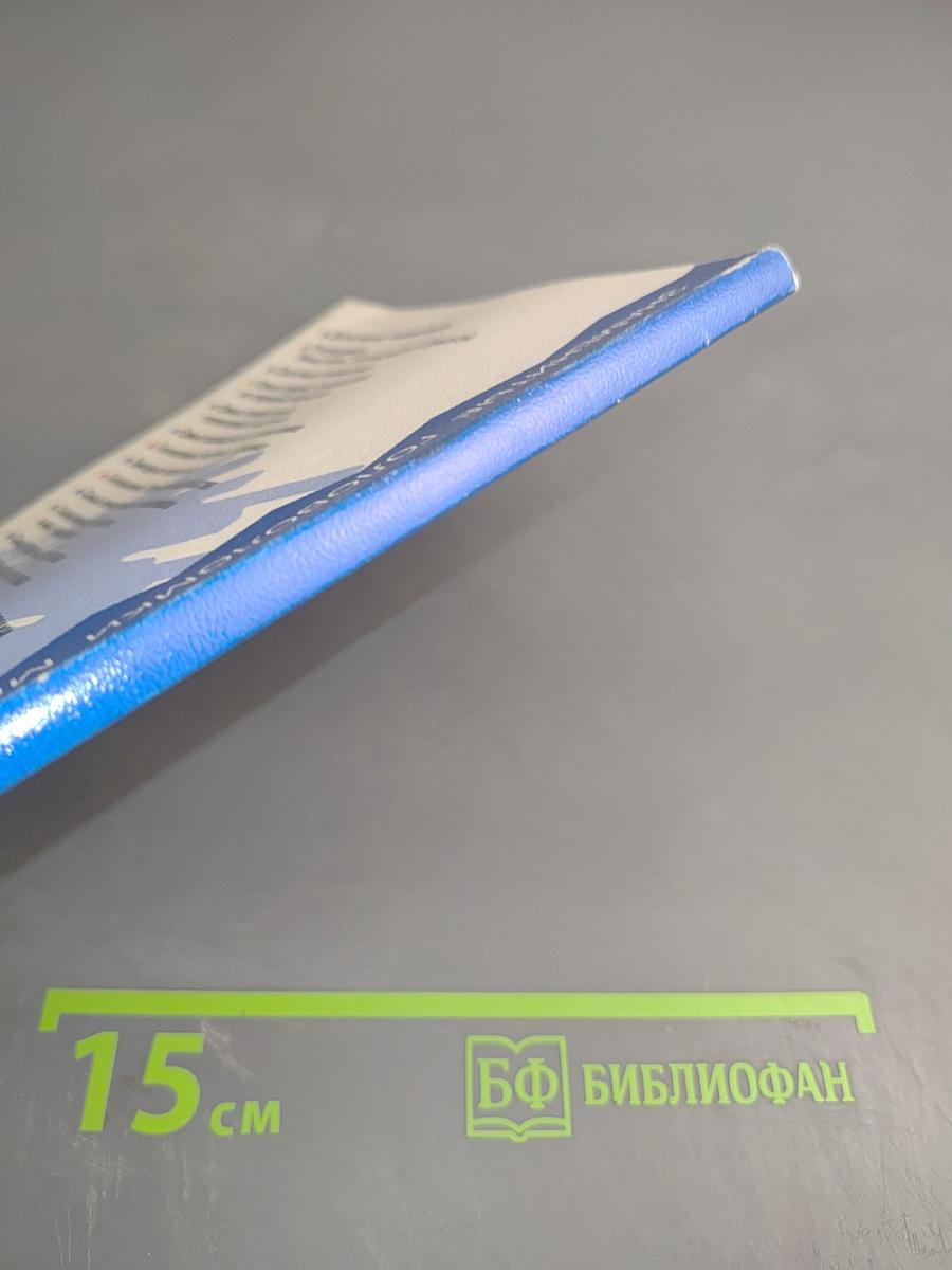 Сказочные головоломки, или Проделки коварного джинна