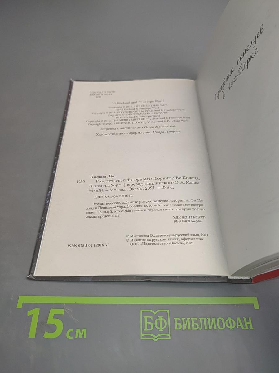 Рождественский сюрприз