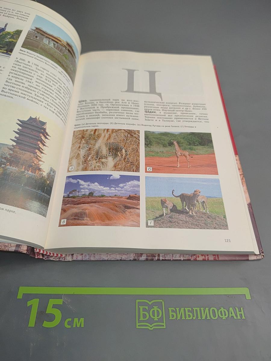 Большая иллюстрированная энциклопедия. Том 30: Хом-шоп