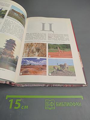 Большая иллюстрированная энциклопедия. Том 30: Хом-шоп