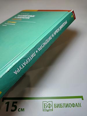 Русский язык и литература. Литература, 11 класс, часть 1