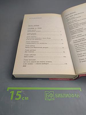 Д'Артаньян — гвардеец кардинала. Тень над короной Франции. Часть II