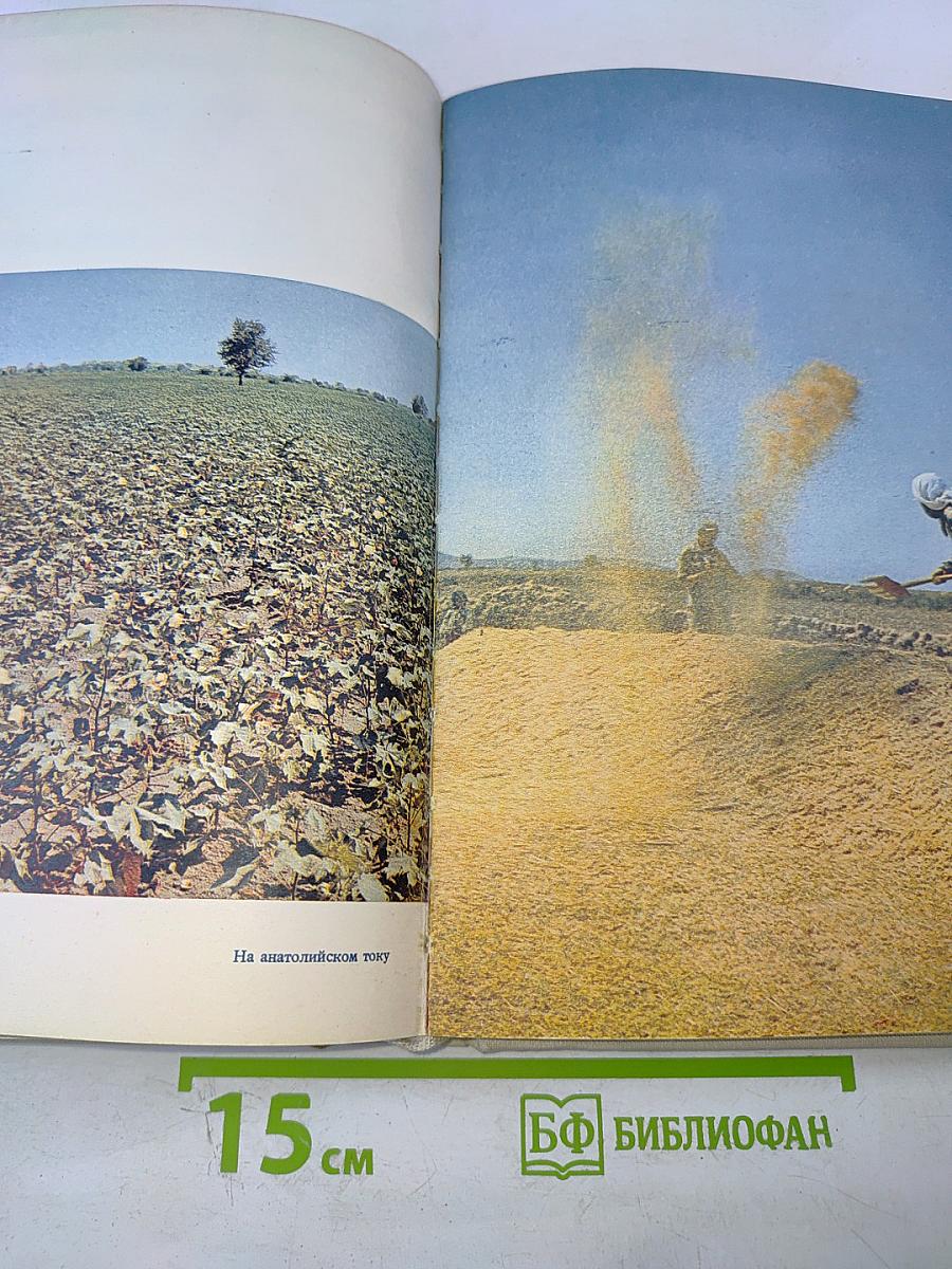 Перевернутый полумесяц