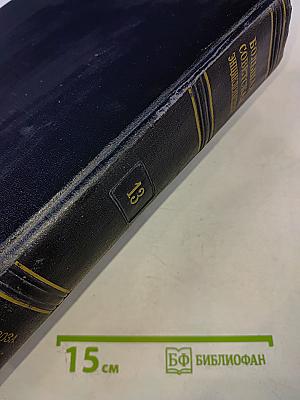 Большая Советская Энциклопедия. Том 13: Гроза – Демос