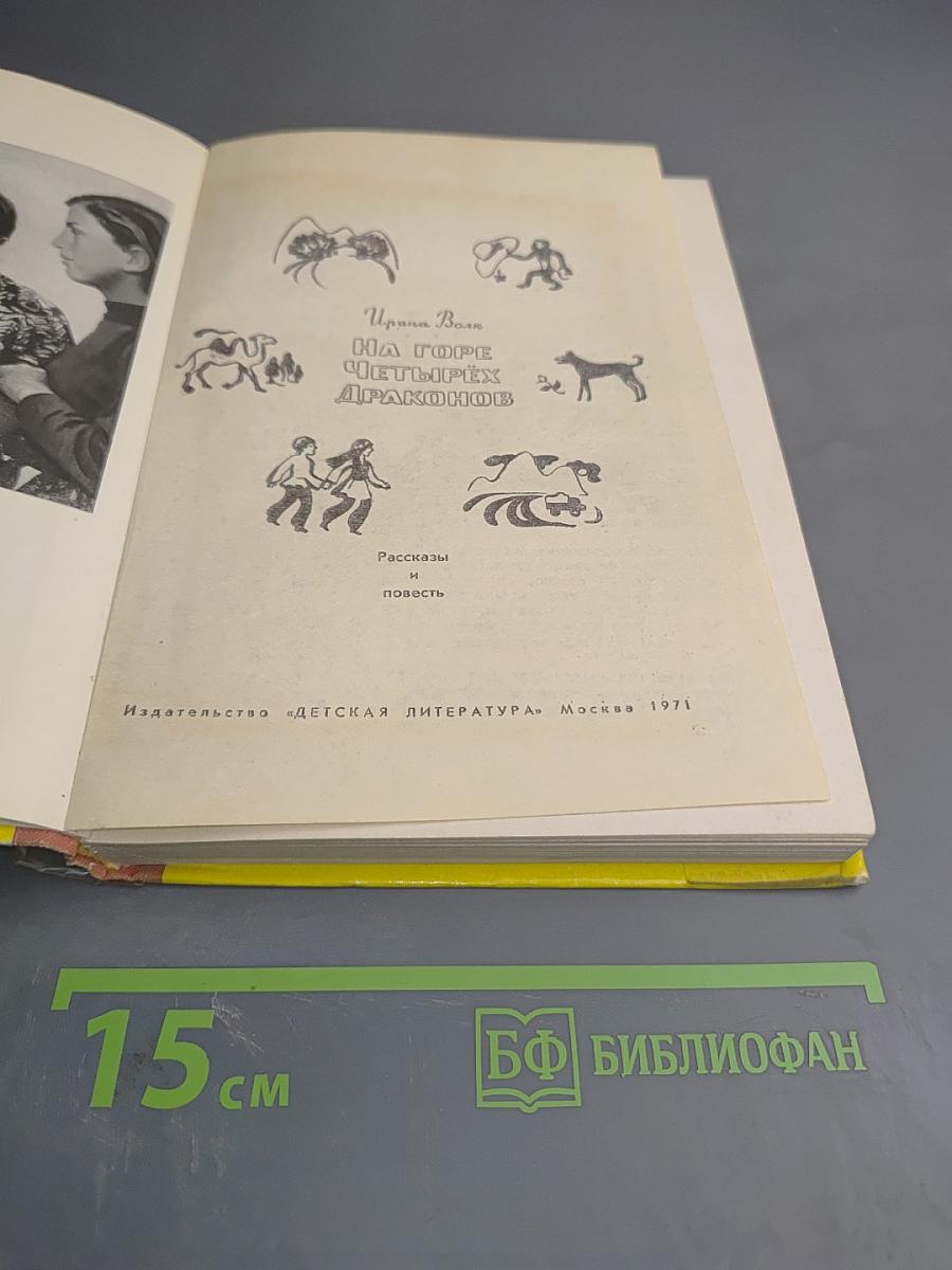 На горе четырех драконов