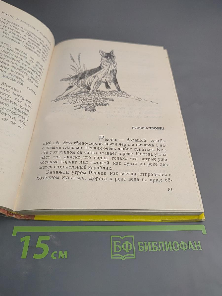 На горе четырех драконов