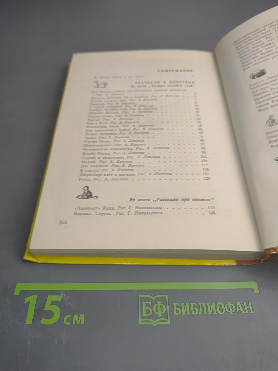 На горе четырех драконов