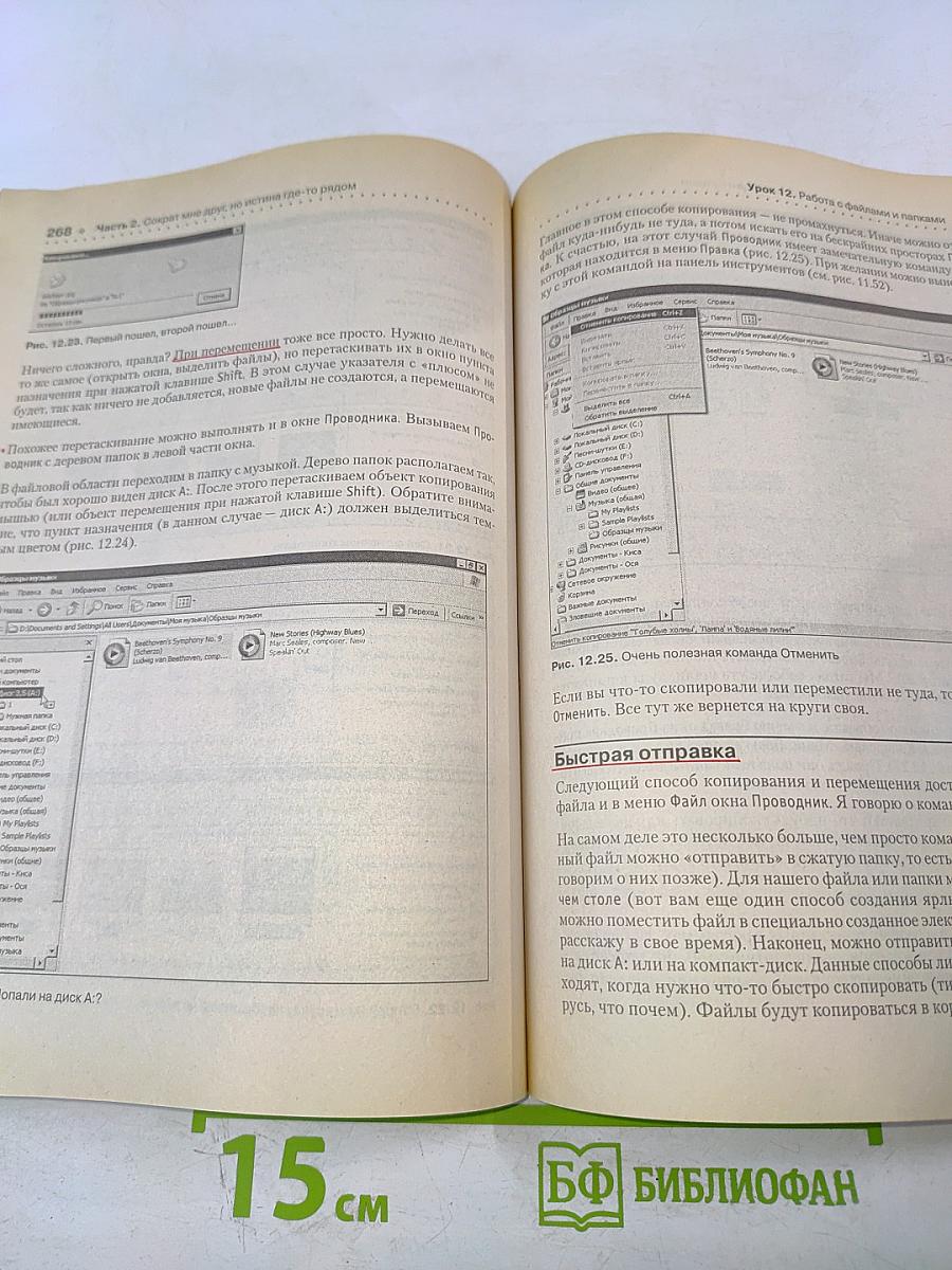 Популярный Самоучитель Работы на Компьютере