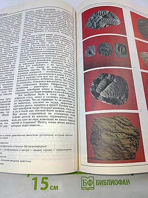 Энциклопедия для детей. Геология. Том 4