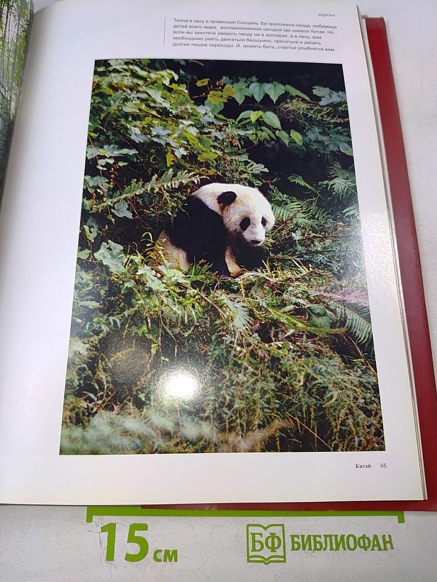 Пять первоэлементов китайской философии. Китай