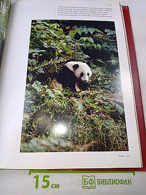 Пять первоэлементов китайской философии. Китай