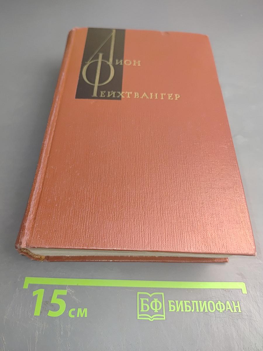 Лисы в винограднике