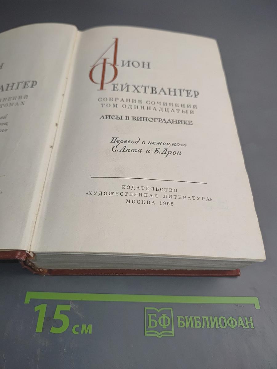 Лисы в винограднике