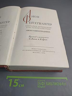 Лисы в винограднике