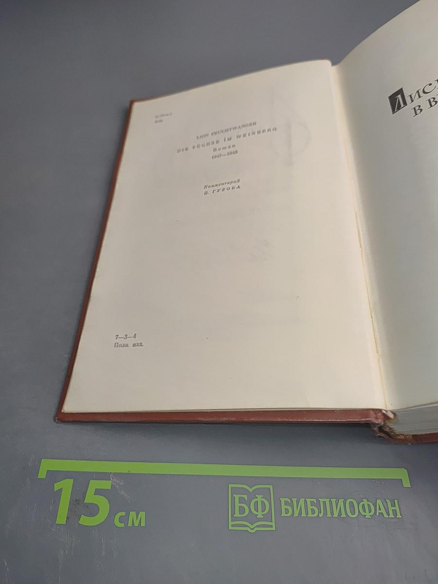 Лисы в винограднике