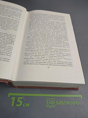 Лисы в винограднике