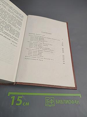 Лисы в винограднике