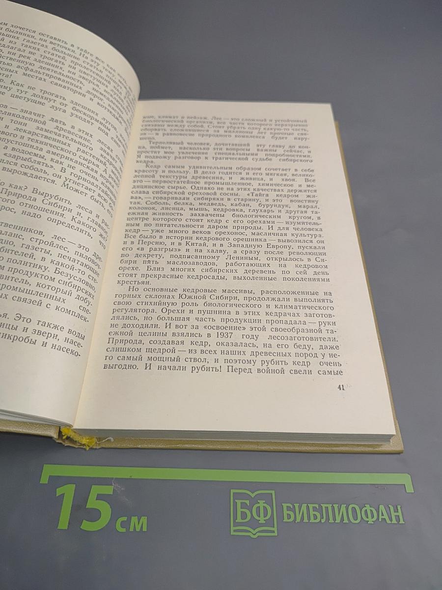 По городам и весям