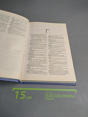 Словарь трудностей произношения и ударения в современном русском языке