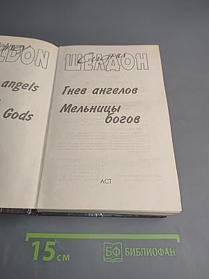 Гнев ангелов. Мельницы богов