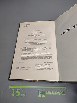 Гнев ангелов. Мельницы богов