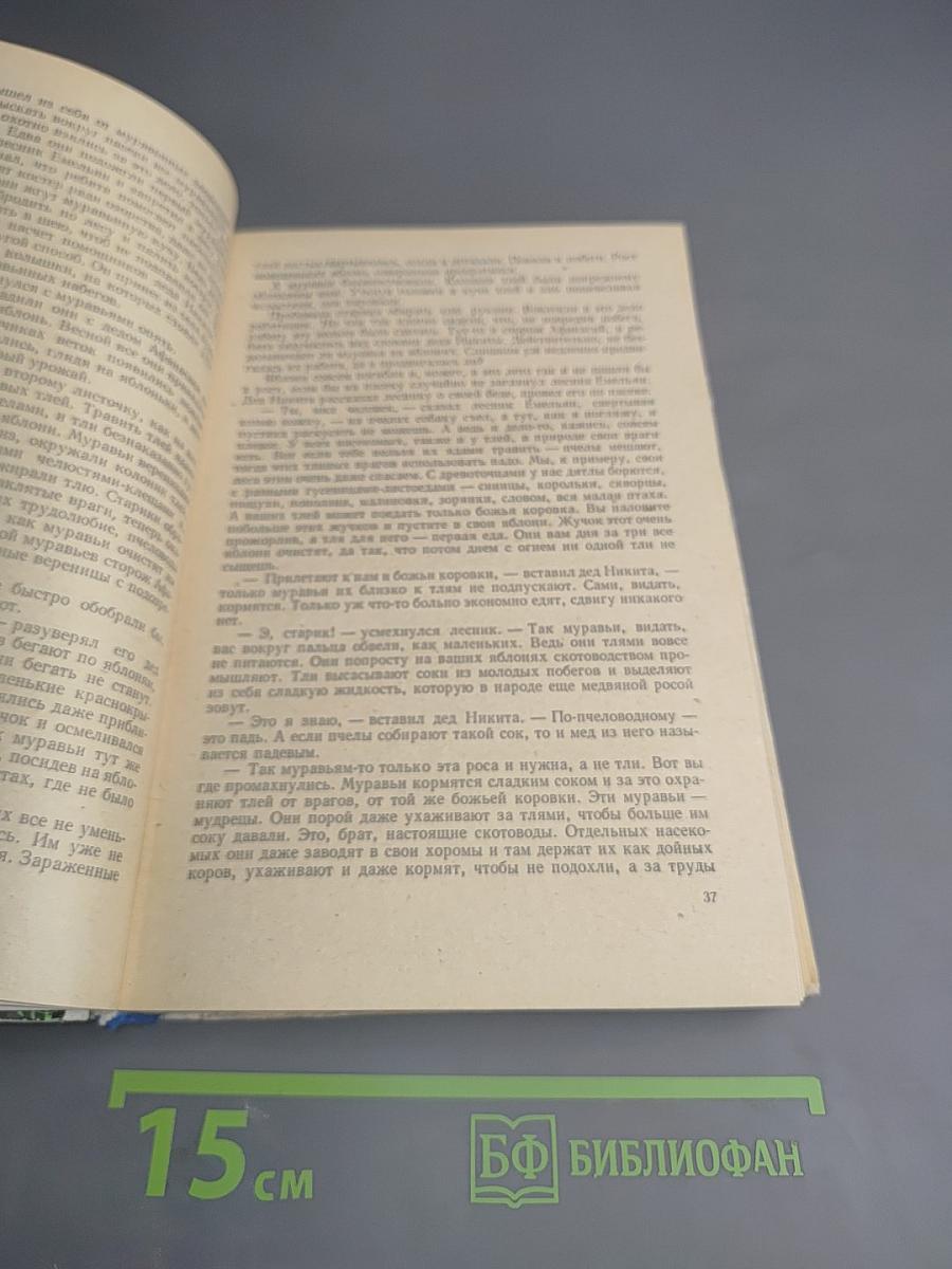 Тропинки в волшебный мир