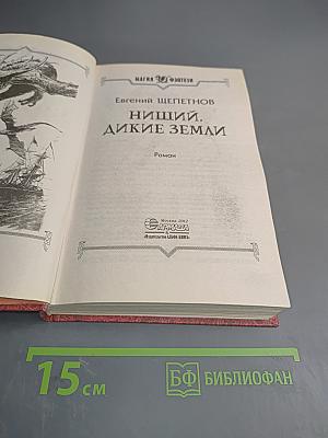 Нищий. Дикие земли