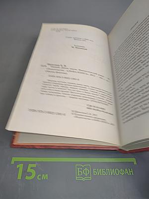 Нищий. Дикие земли