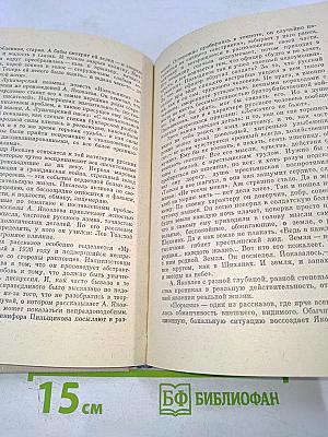 Россия - любовь моя