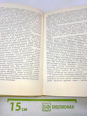 По городам и весям. Путешествия в природу