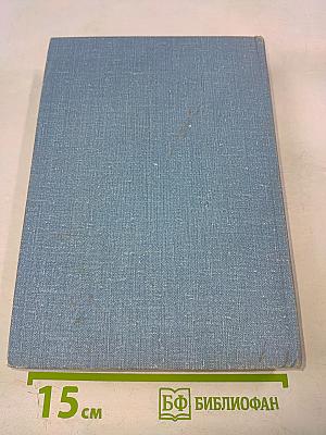 Экспедиция «Кон-Тики», «Ра»