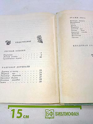 Разговор деревьев