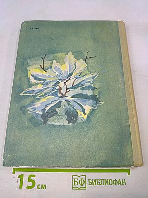 Разговор деревьев