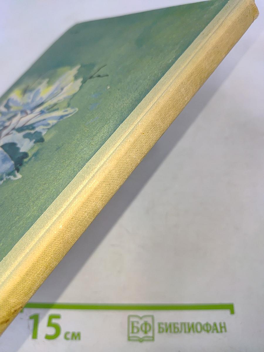 Разговор деревьев