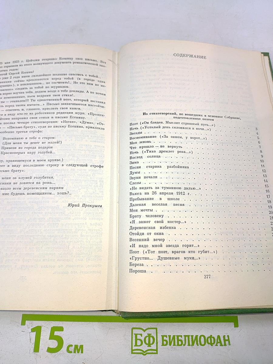 Сергей Есенин. Собрание сочинений в двух томах. Том 2