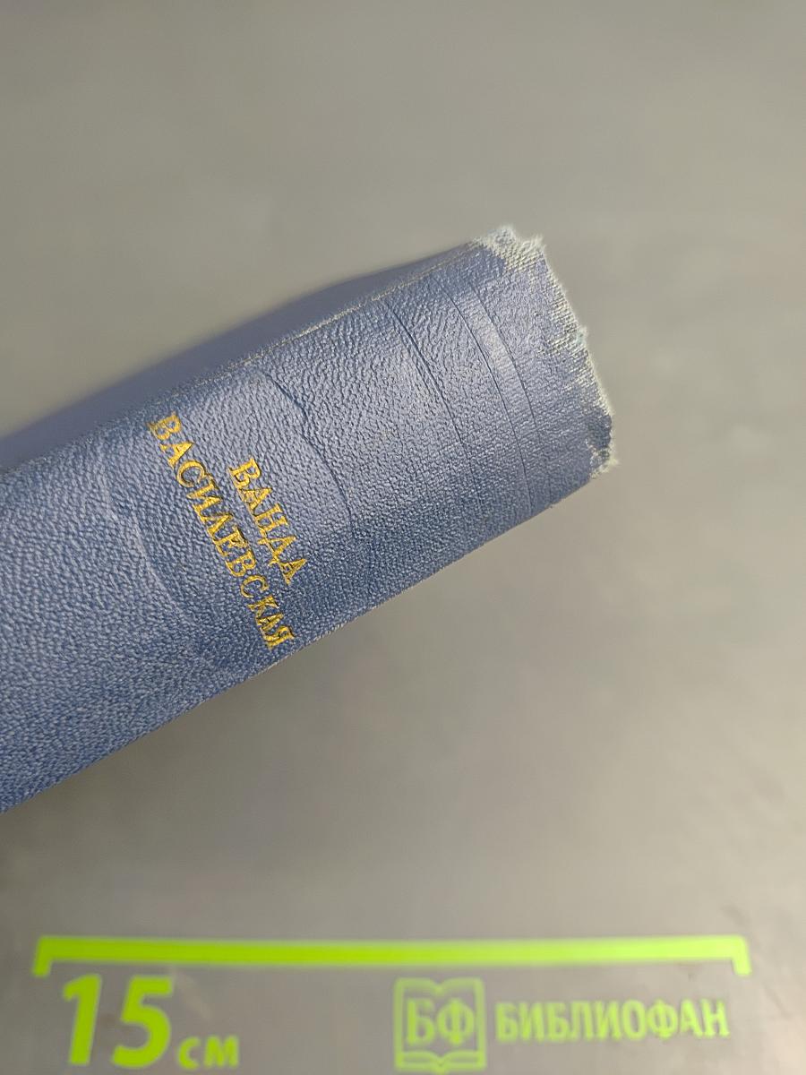 Собрание сочинений. Том четвертый. Песнь над водами. Часть третья: Реки горят