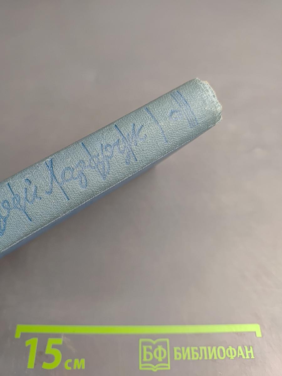 Опоздавшие к лету