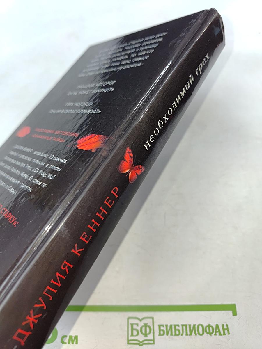 Необходимый грех