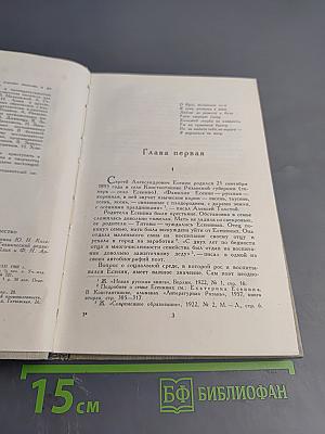 Сергей Есенин: Жизнь и творчество