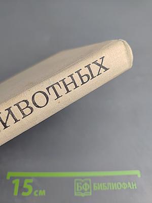 Рассказы о животных