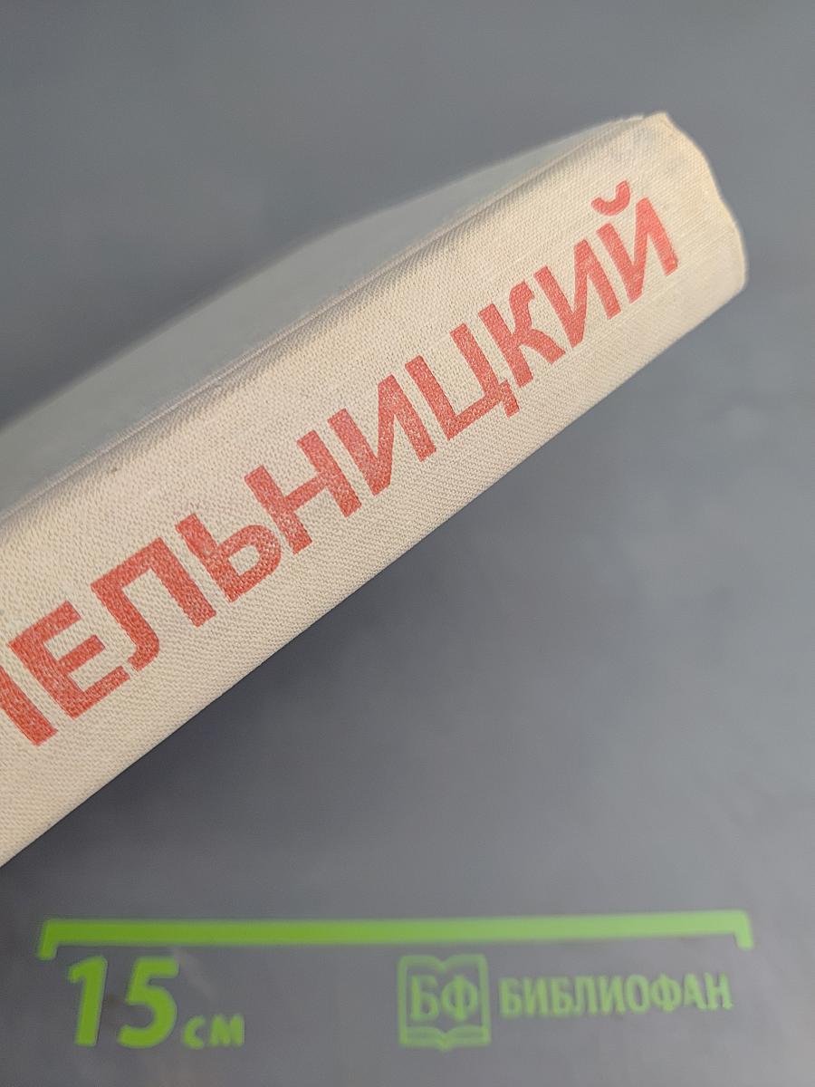 Хмельницкий. Книга первая