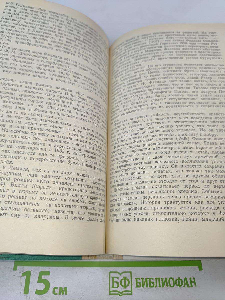От «Фауста» до наших дней. Из истории немецкой литературы. Книга для учащихся старших классов.